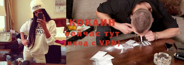 ПСИЛОЦИБИНОВЫЕ ГРИБЫ Аркадак