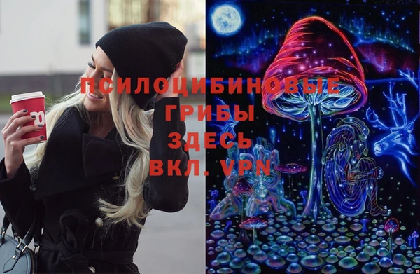 соль ск Армянск