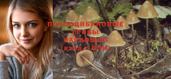 ПСИЛОЦИБИНОВЫЕ ГРИБЫ Аркадак
