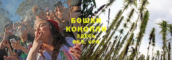 ПСИЛОЦИБИНОВЫЕ ГРИБЫ Аркадак