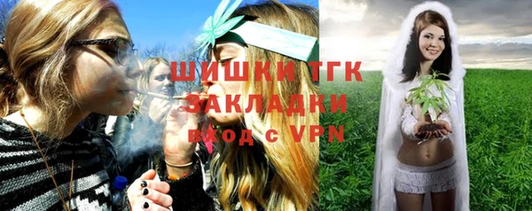 прущие грибы Михайловка