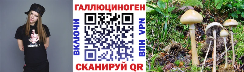 Галлюциногенные грибы прущие грибы  наркошоп  даркнет Telegram  Починок 